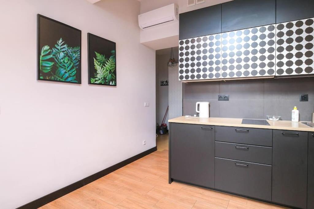Strzelecka Old City Apartment 크라쿠프 외부 사진